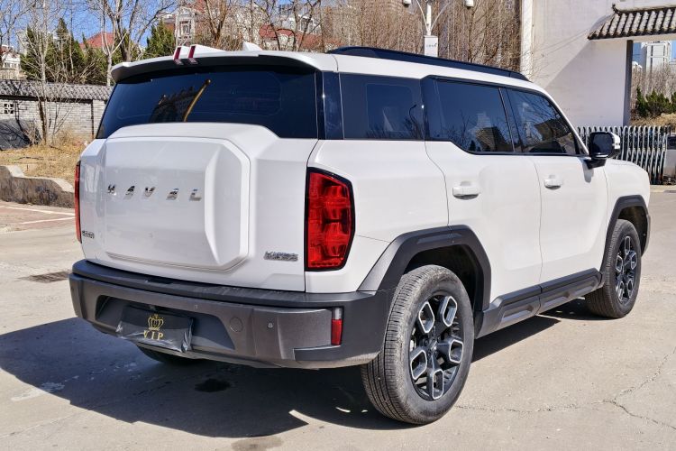 Haval Dargo 2023 car image #7