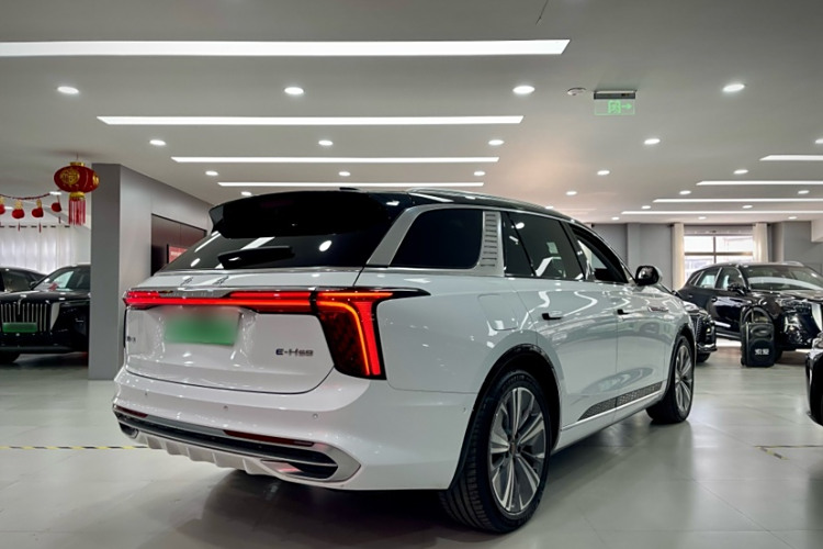 HongQi E-HS9 2024 car image #7