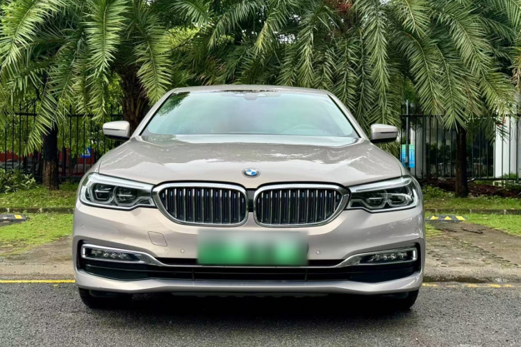 BMW 5 Series New Energy 2018 car image #7