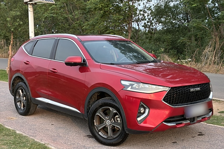 Haval F7 2019 car image #7