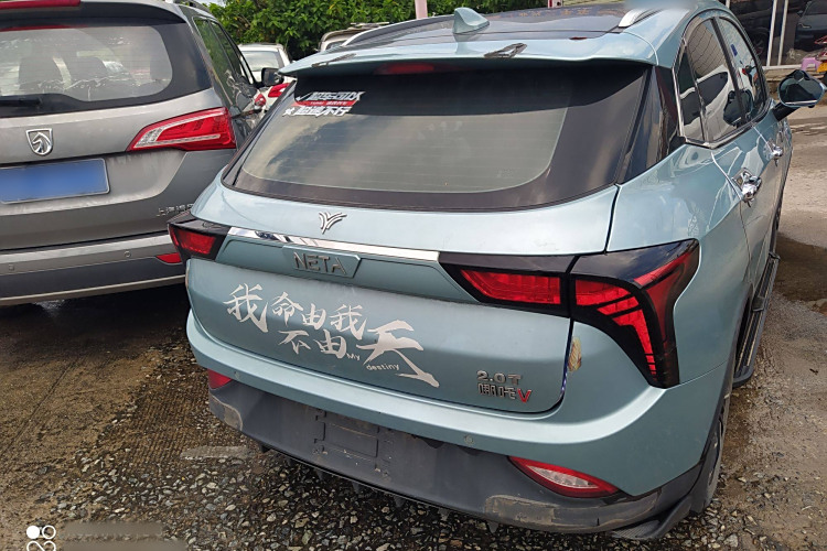 Neta V 2021 imagen de coche #7