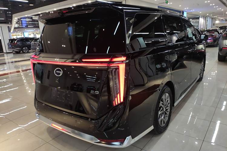 GAC Trumpchi Xiangwang M8 2025 car image #7