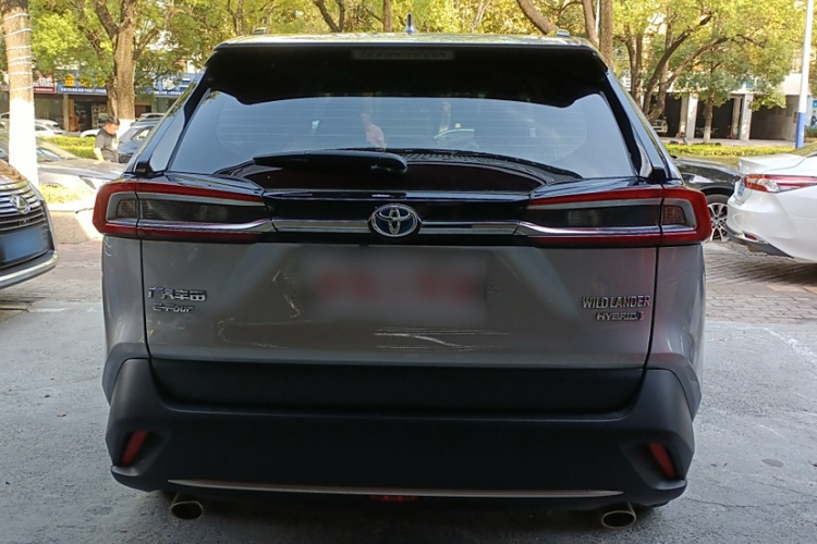 Toyota Wildlander 2023 imagem de carro #7