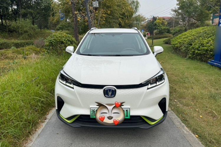 Changan E-Pro New Energy 2020 car image #7