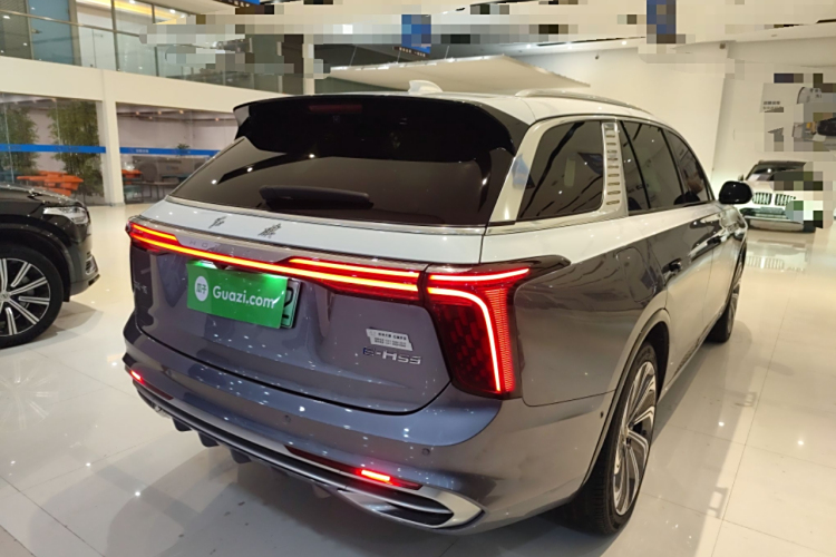 HongQi E-HS9 2022 immagine di auto #7