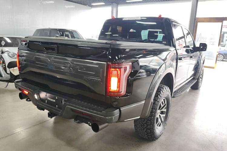 Ford F-150 Raptor 2017 #7 Ford F-150 Raptor 2017 car image #7