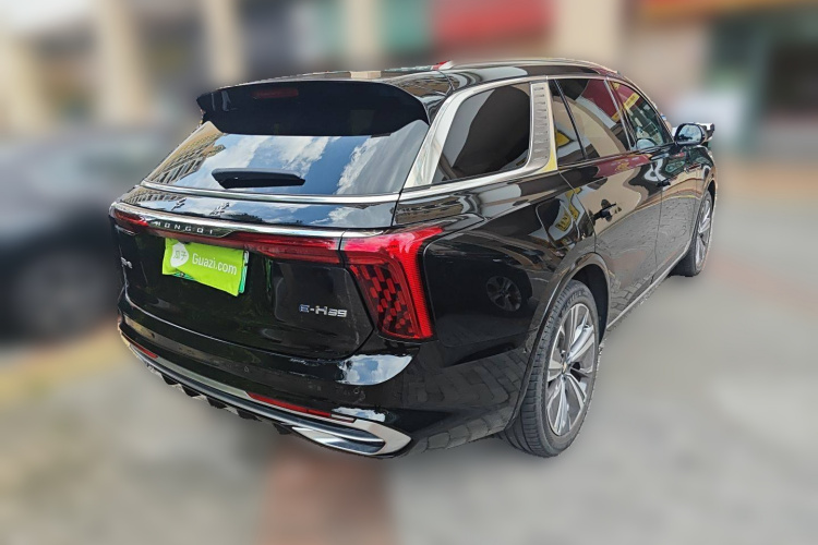 HongQi E-HS9 2022 car image #7