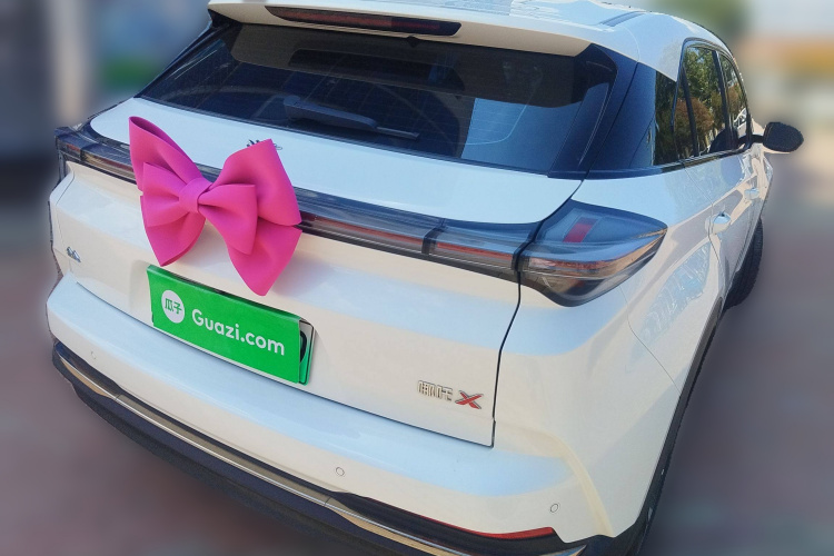 哪吒汽车 哪吒X 2024 汽车图片 #7