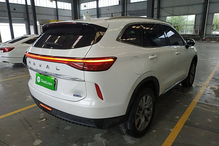 Haval H6 2022 immagine di auto #7
