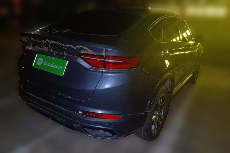 GEELY Tugella New Energy 2019 car image #7