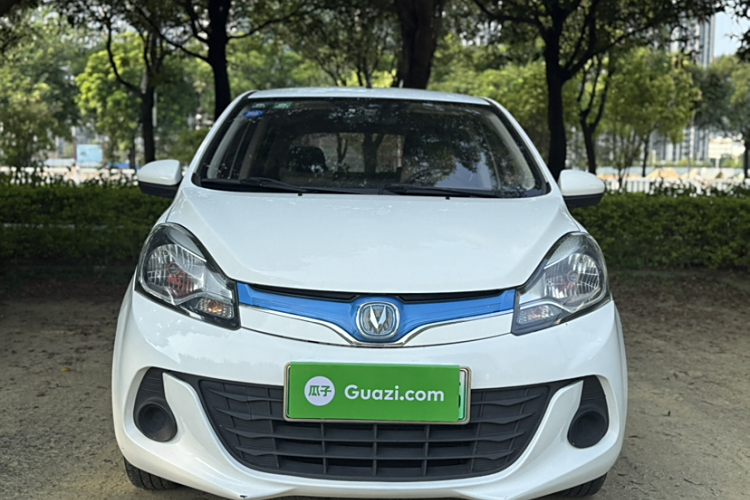 Changan BenBen EV 2019 car image #7