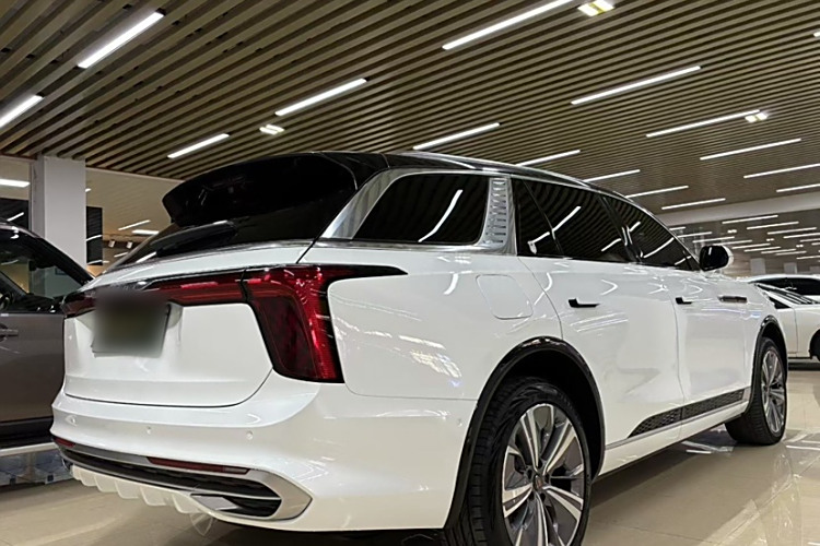 HongQi E-HS9 2021 immagine di auto #7