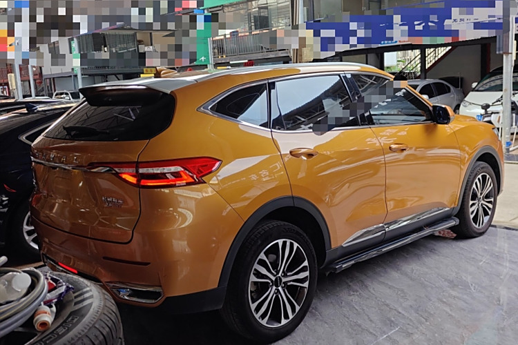 Haval F7 2019 car image #7
