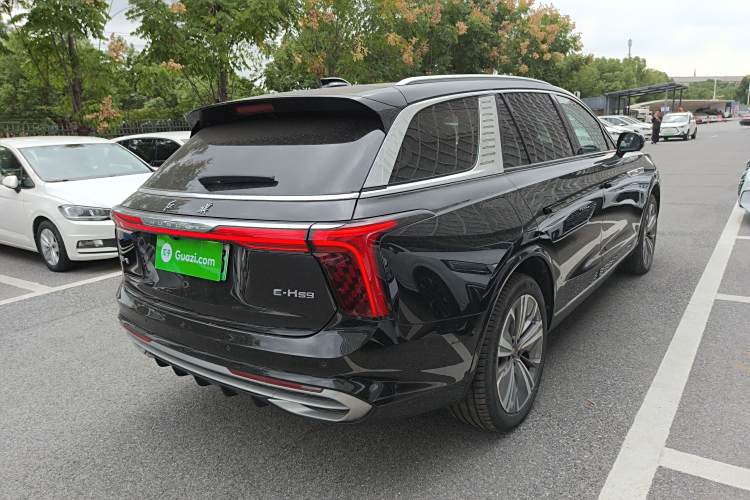 HongQi E-HS9 2023 #7 HongQi E-HS9 2023 car image #7