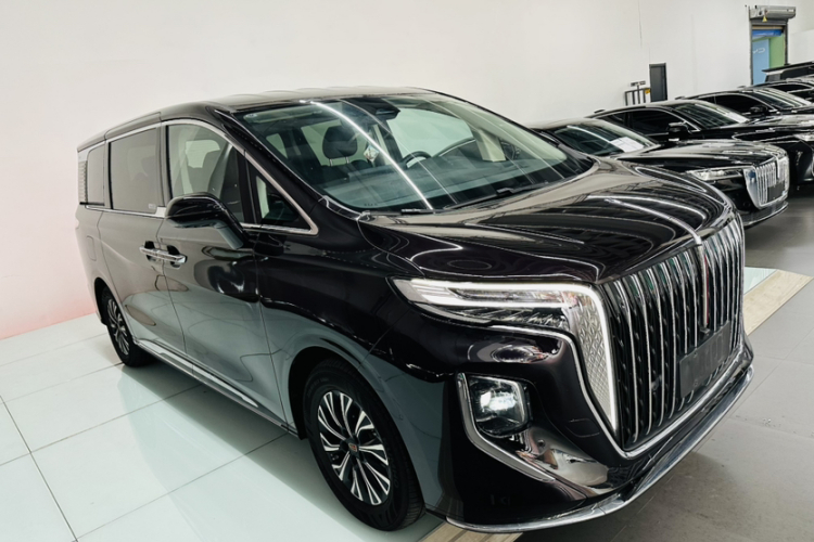 HongQi HQ9 PHEV 2024 car image #7