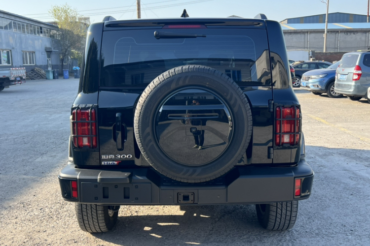 Tank 300 New Energy 2024 #7 Tank 300 New Energy 2024 immagine di auto #7