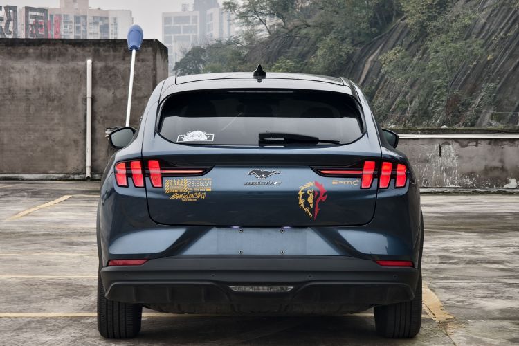 Ford Mustang Mach-E 2024 car image #7