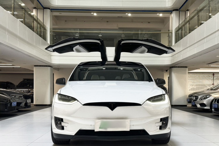 Tesla Model X 2019 car image #7