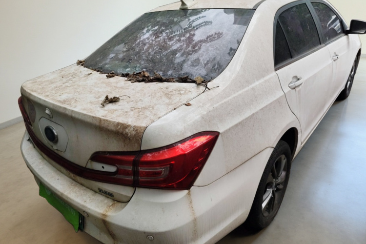 BYD Qin New Energy 2018 car image #7