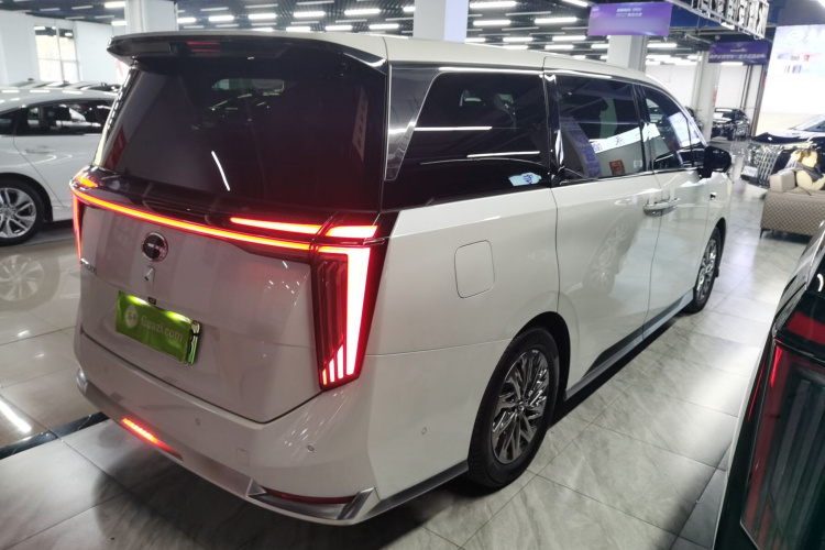 GAC Trumpchi Xiangwang M8 2025 car image #7