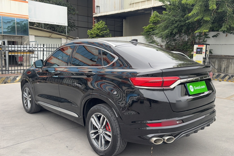 GEELY Tugella 2020 car image #7