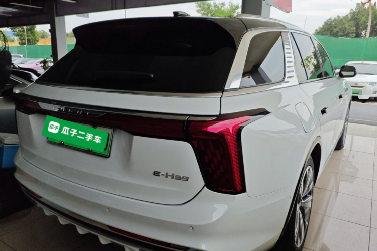 HongQi E-HS9 2021 immagine di auto #7