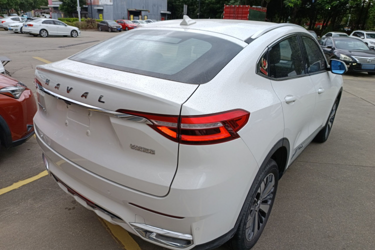 Haval F7x 2020 #7 Haval F7x 2020 car image #7