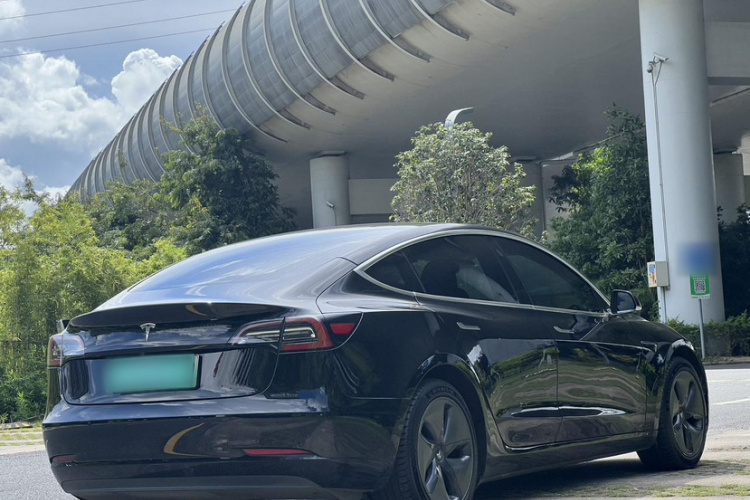 特斯拉 Model 3(进口) 2019 汽车图片 #7