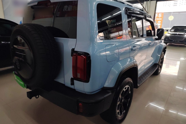 Tank 300 New Energy 2024 imagem de carro #7