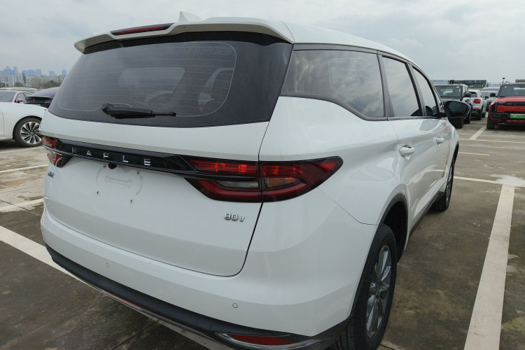 睿蓝汽车 枫叶80v 2021 汽车图片 #7