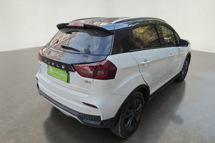 睿蓝汽车 枫叶30X 2021 汽车图片 #7
