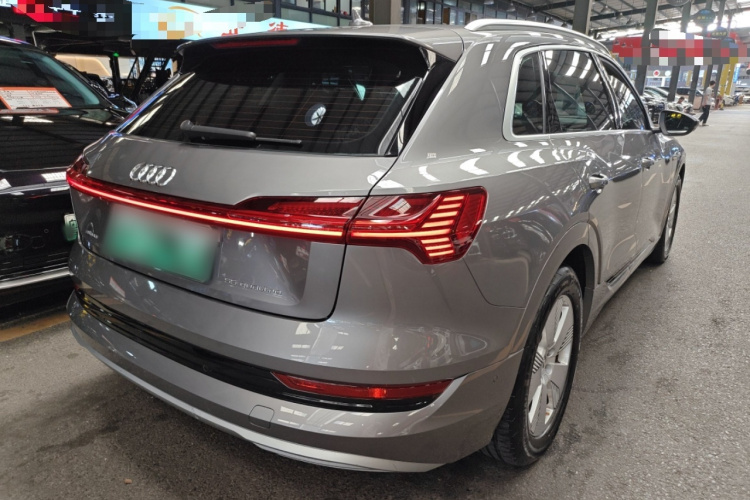 Audi e-tron (Imported) 2020 car image #7