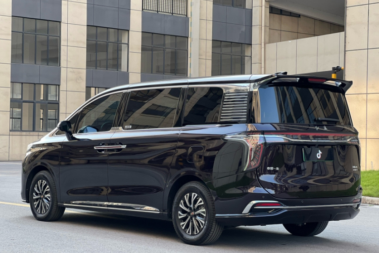 HongQi HQ9 PHEV 2024 car image #7