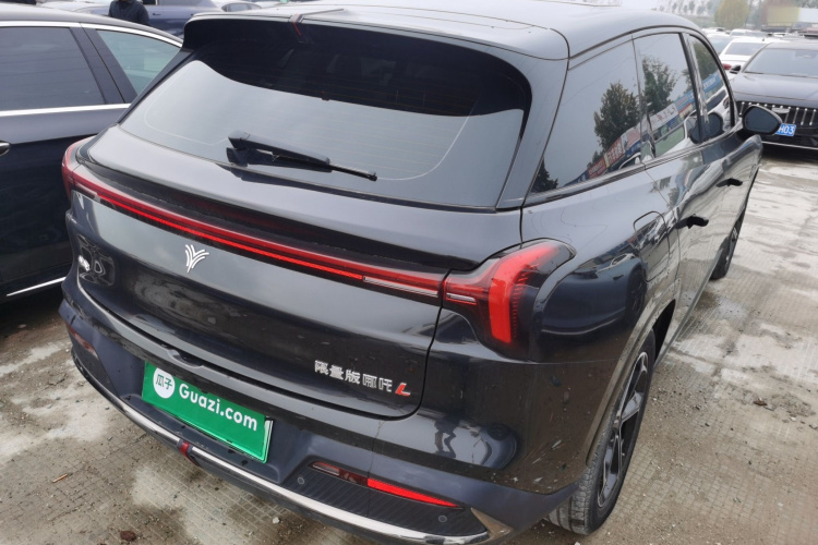 Neta L 2024 imagen de coche #7