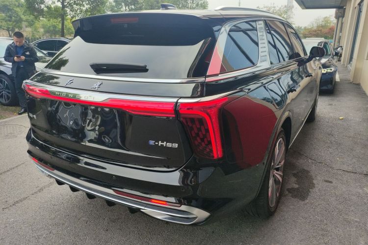 HongQi E-HS9 2022 #7 HongQi E-HS9 2022 car image #7