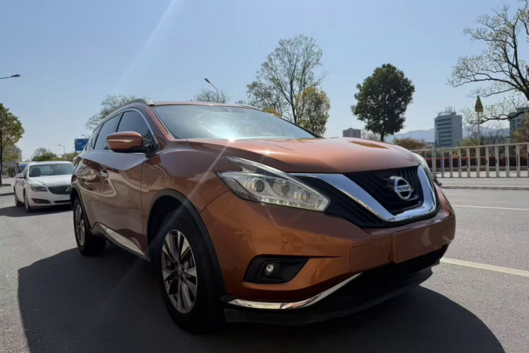 Nissan Murano 2016 image de voiture #7