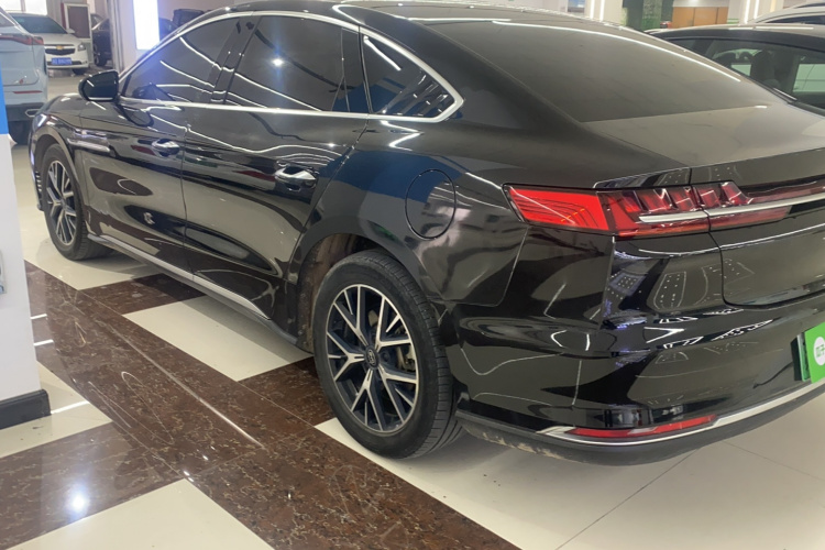 BYD e9 2021 car image #7