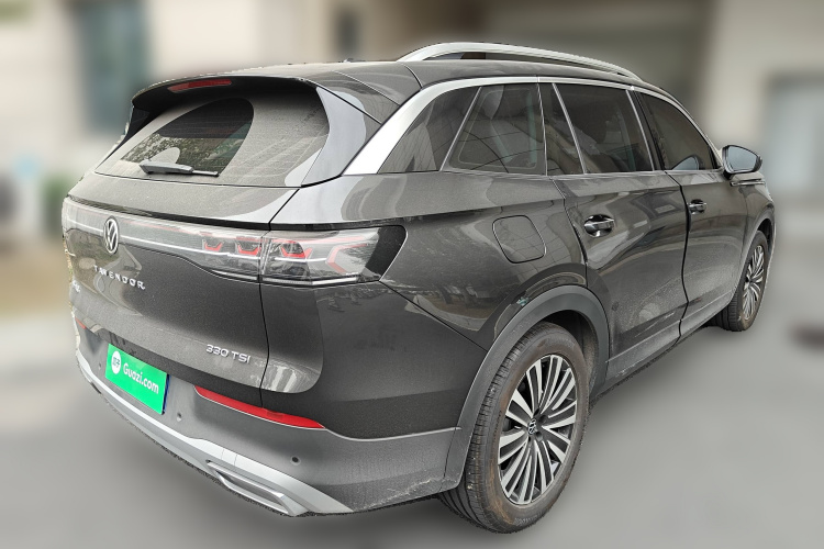 Volkswagen Tavendor 2023 car image #7