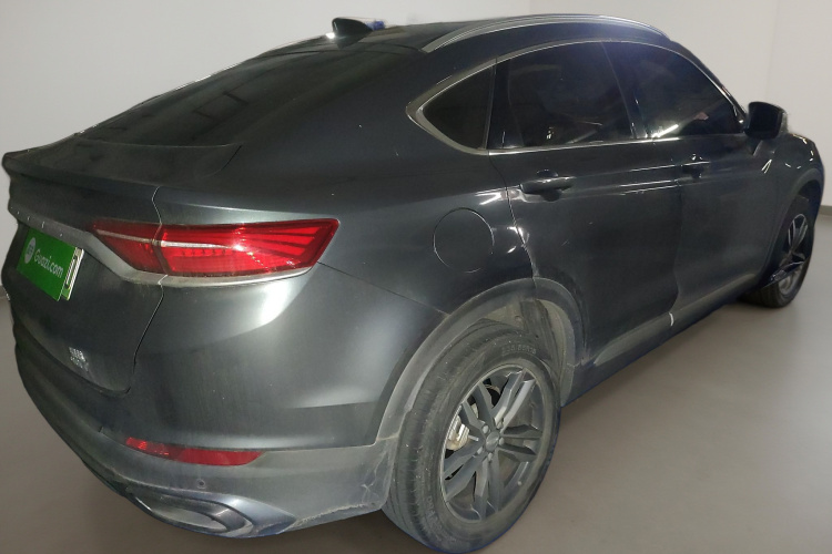 GEELY Tugella New Energy 2020 car image #7