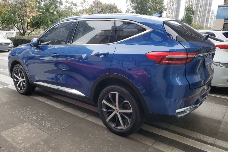 Haval F7 2020 car image #7