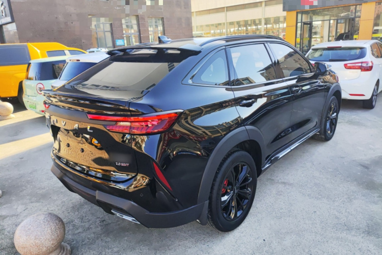 Haval H6S 2022 car image #7