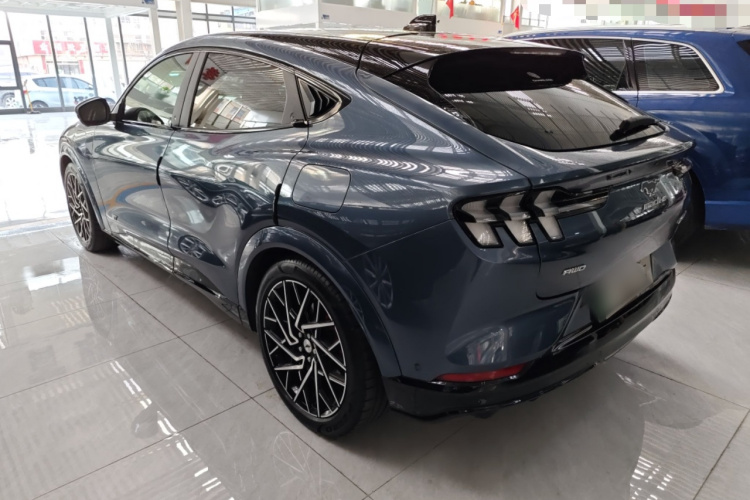 Ford Mustang Mach-E 2022 car image #7