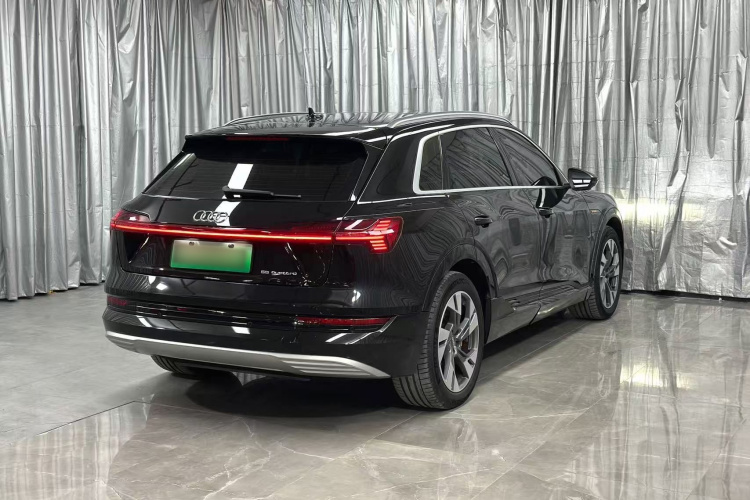 Audi e-tron (Imported) 2020 car image #7