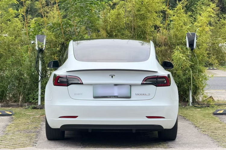 Tesla Model 3 2022 #7 Tesla Model 3 2022 car image #7