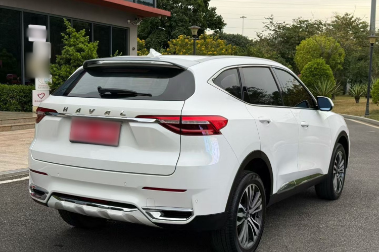 Haval F7 2019 image de voiture #7
