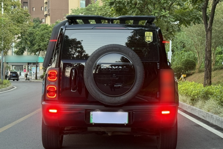 Haval Raptor New Energy 2024 car image #7