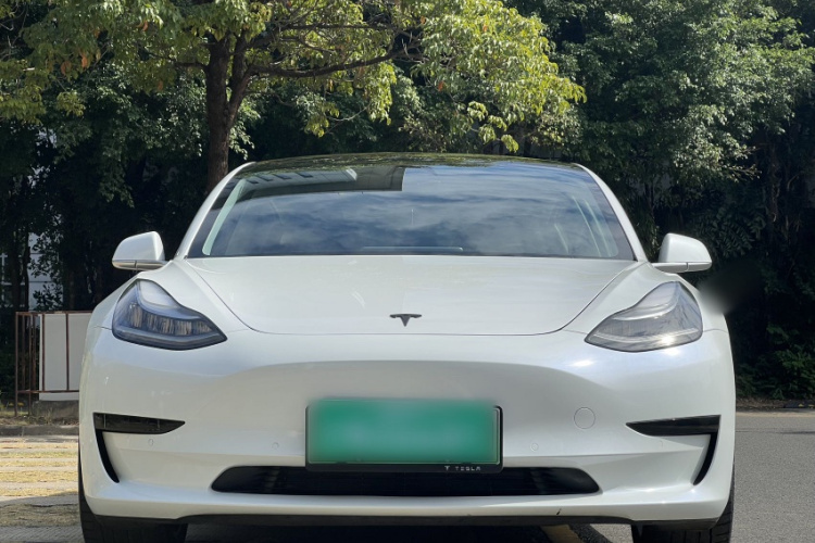 Tesla Model 3 2020 صورة سيارة #7
