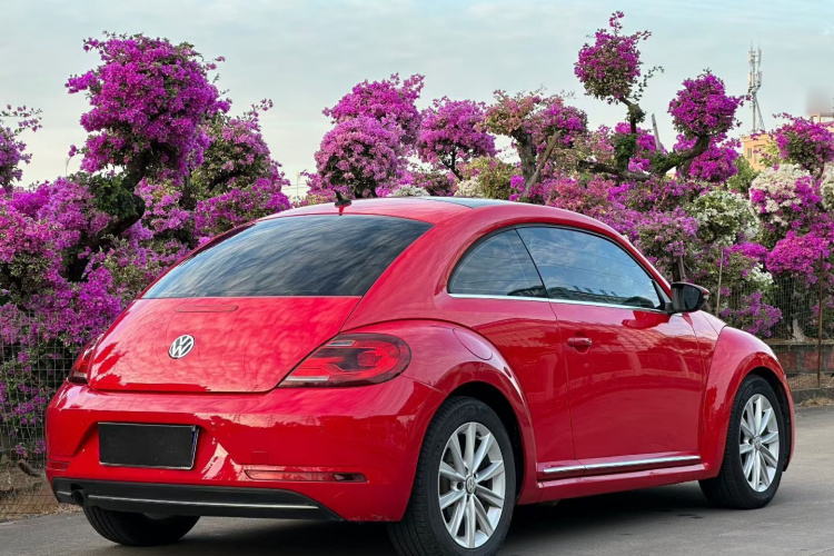 Volkswagen Beetle 2018 car image #7