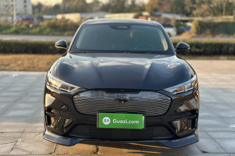 Ford Mustang Mach-E 2023 #7 Ford Mustang Mach-E 2023 car image #7