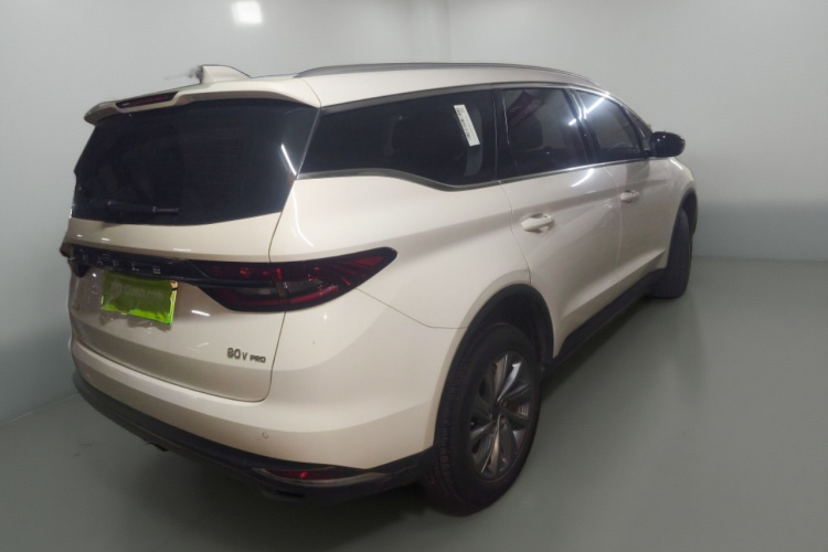 睿蓝汽车 枫叶80v PRO 2023 汽车图片 #7